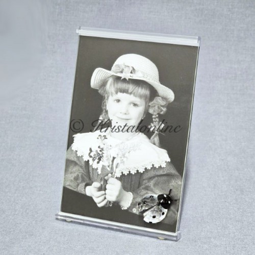 Ladybird - With Picture Frame